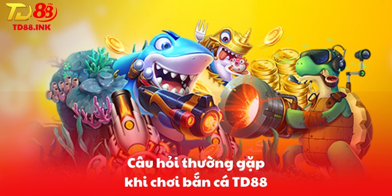 Câu hỏi thường gặp khi chơi bắn cá TD88