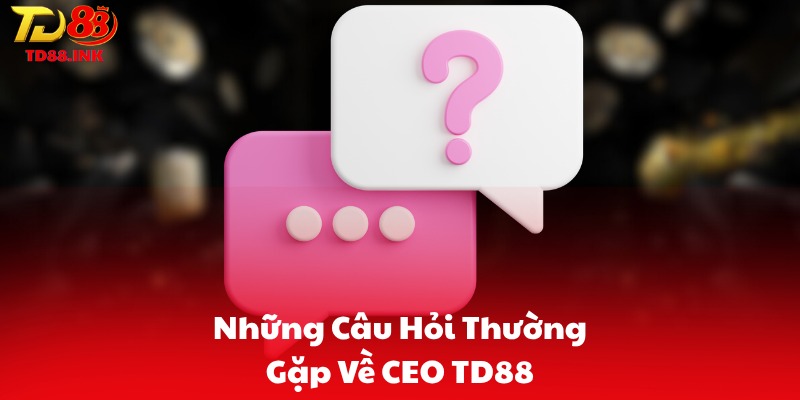 Những Câu Hỏi Thường Gặp Về CEO TD88