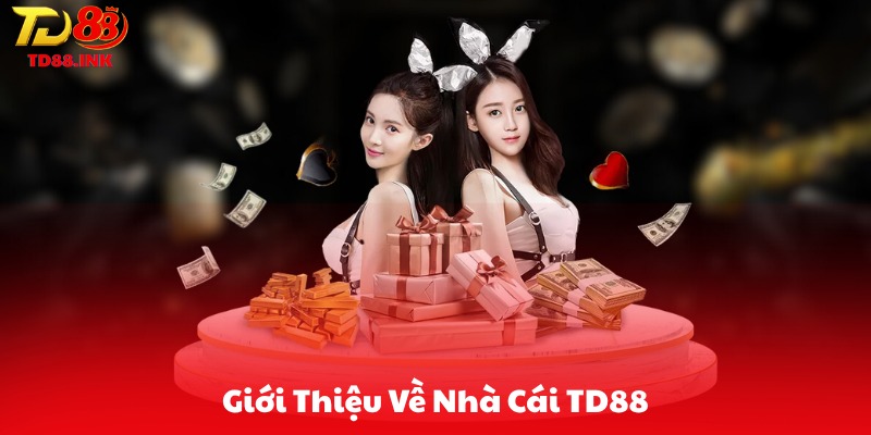 Giới Thiệu Về Nhà Cái TD88