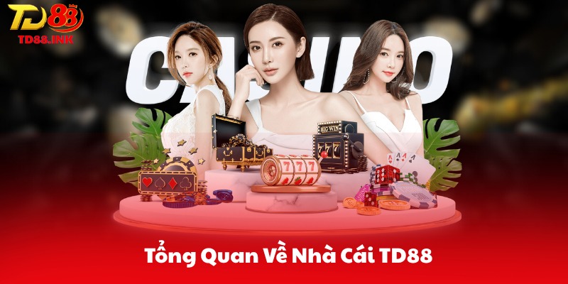 TD88 Là Gì? Tổng Quan Về Thương Hiệu TD88