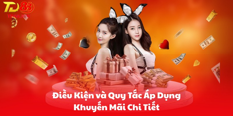 Điều Kiện và Quy Tắc Áp Dụng Khuyến Mãi Chi Tiết