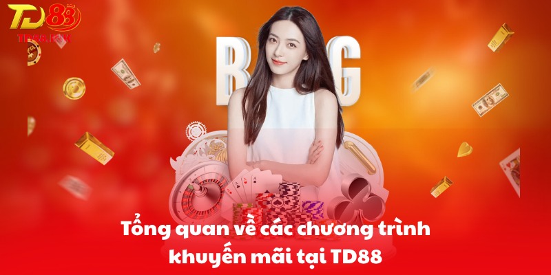 Tổng quan về các chương trình khuyến mãi tại TD88