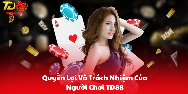 Quyền Lợi Và Trách Nhiệm Của Người Chơi TD88