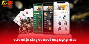 Giới Thiệu Tổng Quan Về Ứng Dụng TD88