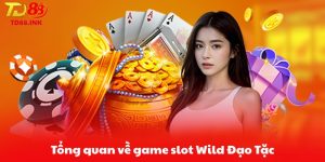 Tổng quan về game slot Wild Đạo Tặc