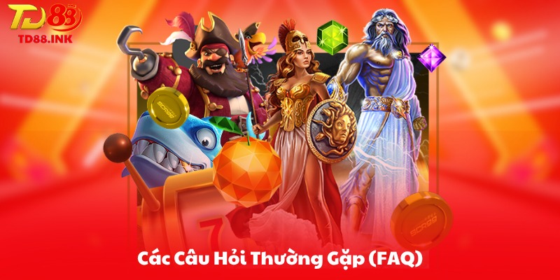 Các Câu Hỏi Thường Gặp (FAQ)