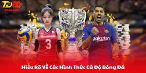 Hiểu Rõ Về Các Hình Thức Cá Độ Bóng Đá