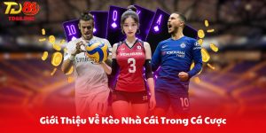 Giới Thiệu Về Kèo Nhà Cái Trong Cá Cược