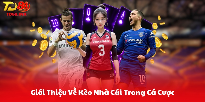 Giới Thiệu Về Kèo Nhà Cái Trong Cá Cược